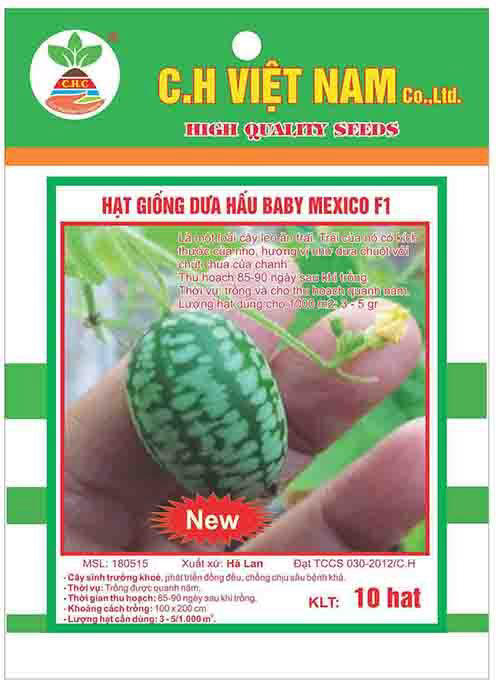 Mexican baby watermelon seeds F1